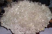 silicate